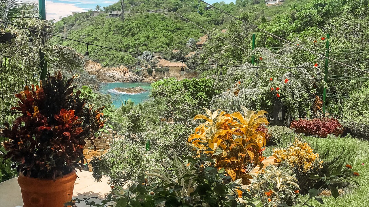 Photo of Outdoor in Puerto Angel