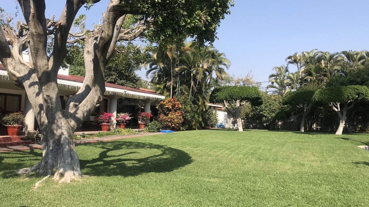 Photo of Outdoor in Tres de Mayo