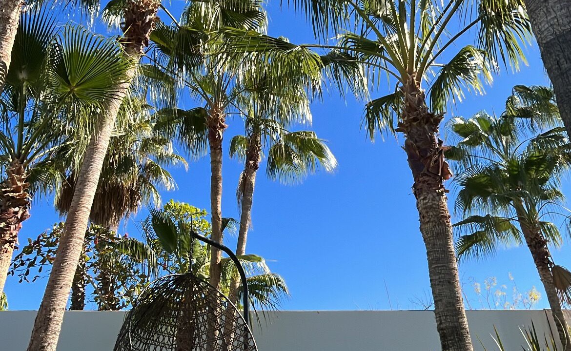 Photo of Outdoor in Todos Santos