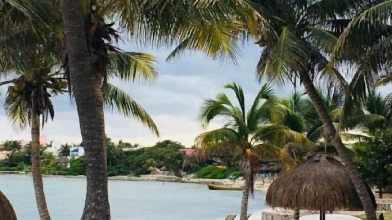 Photo of Others in Akumal