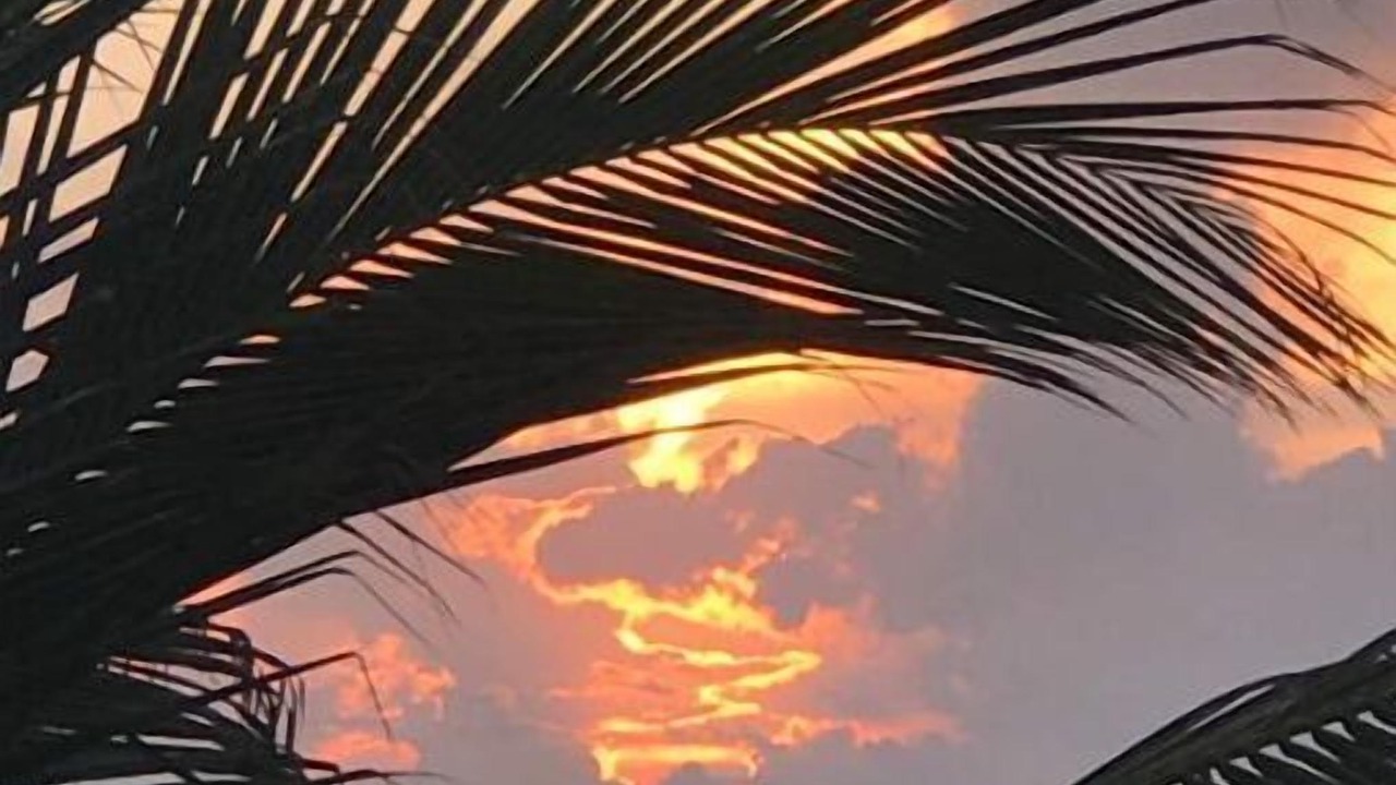 Photo of Outdoor in Akumal