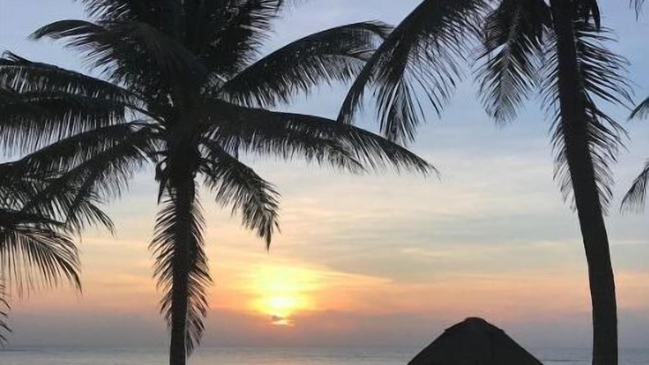Photo of Others in Akumal