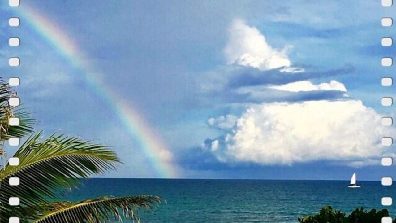 Photo of Others in Akumal