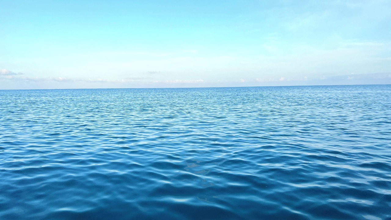 Photo of Others in Costa Maya