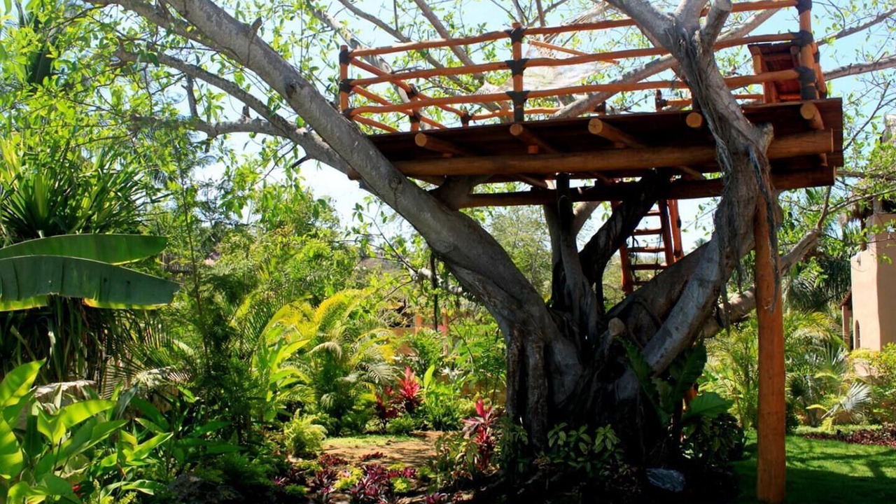 Photo of Others in Sayulita