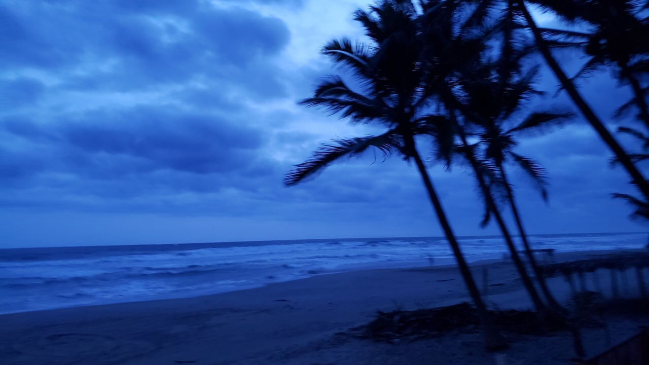 Photo of Others in Playa Azul