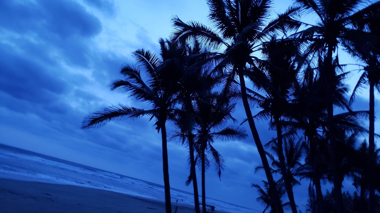 Photo of Others in Playa Azul
