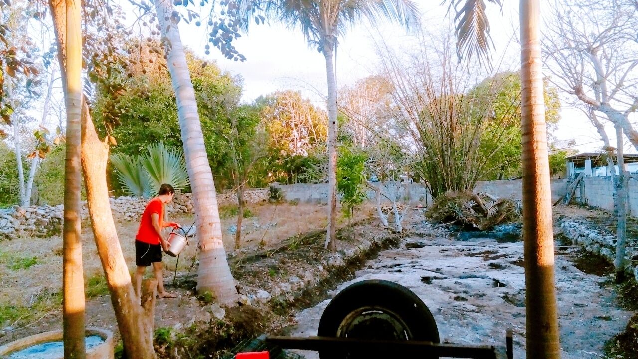Photo of Outdoor in Tizimin