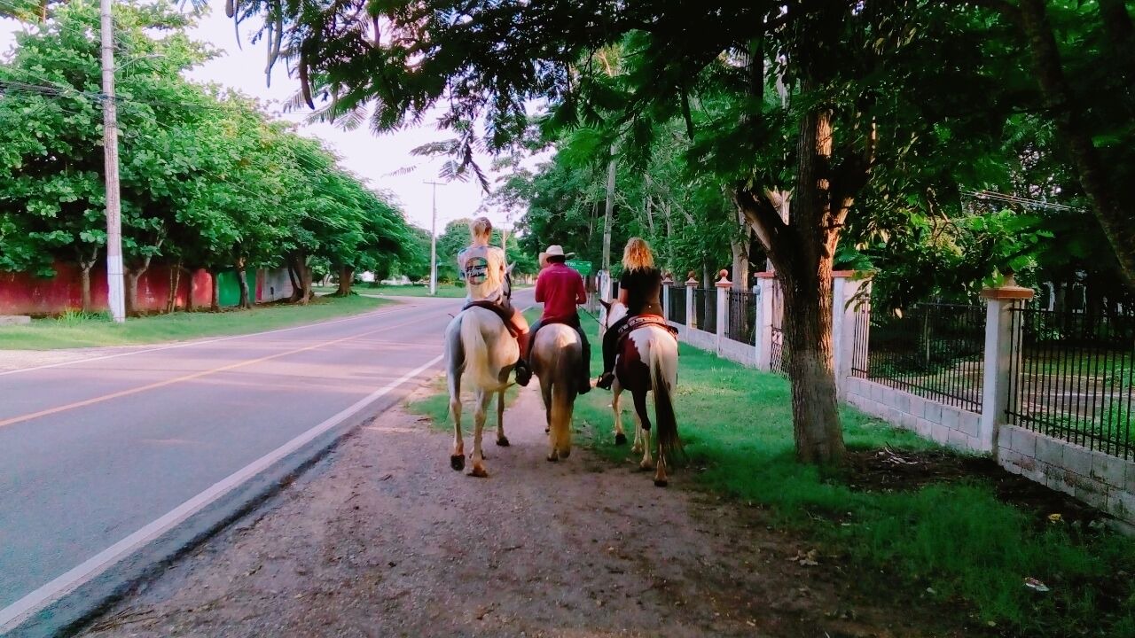 Photo of Outdoor in Tizimin