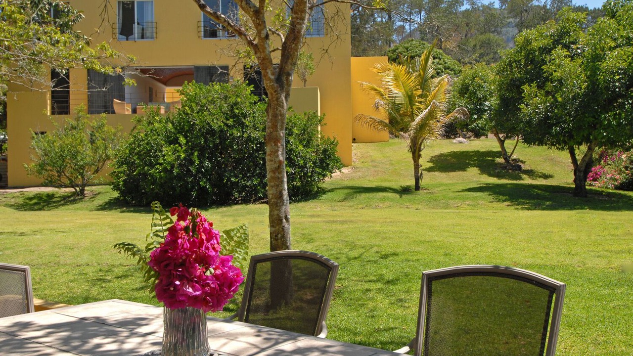 Photo of Outdoor in El Tuito