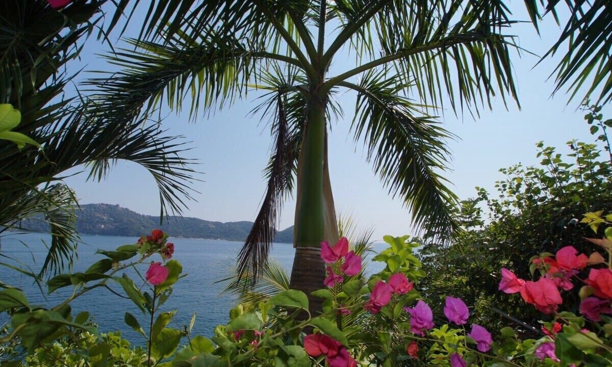 Photo of Outdoor in Almacen