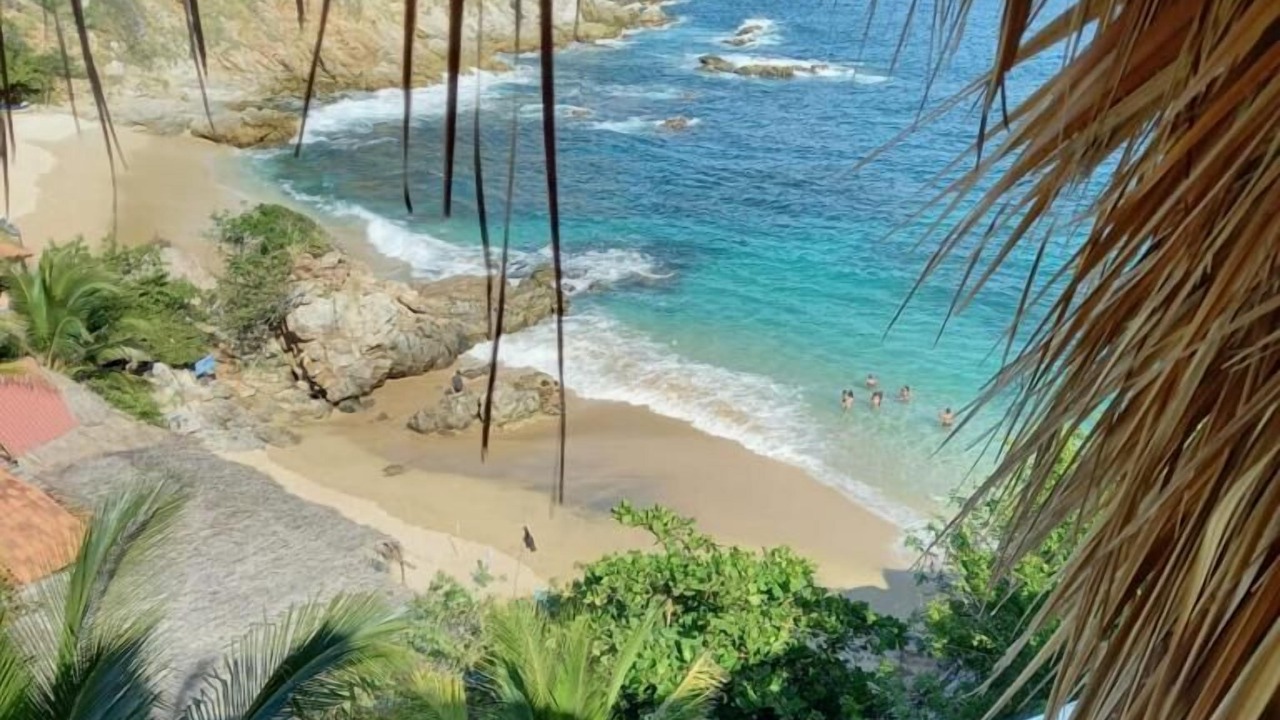 Photo of Others in Puerto Angel