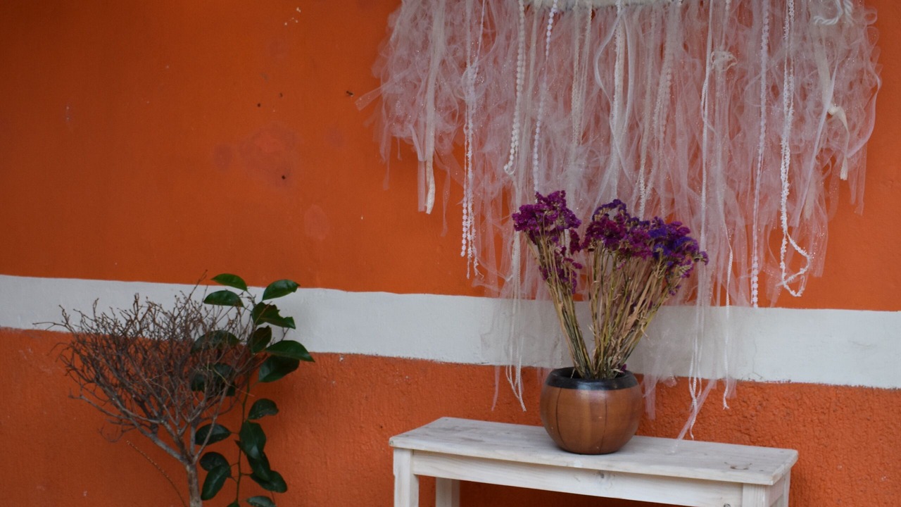 Photo of Others in De Guadalupe