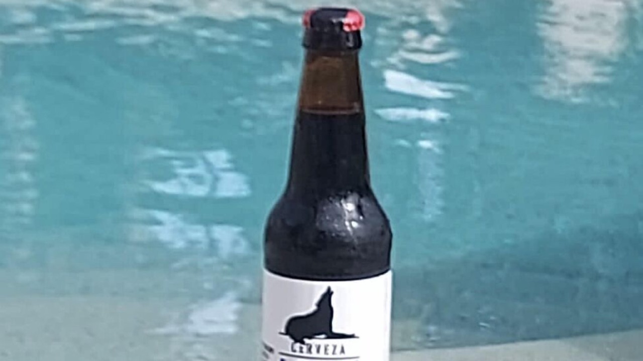 Photo of Others in Alfredo V. Bonfil