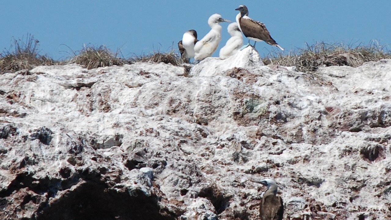Photo of Others in Emiliano Zapata