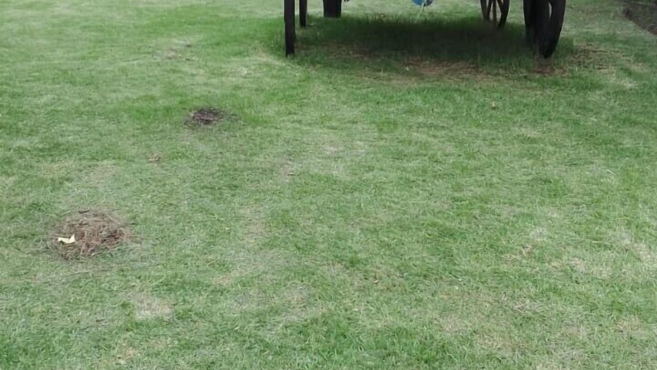 Photo of Outdoor in Xaloztoc