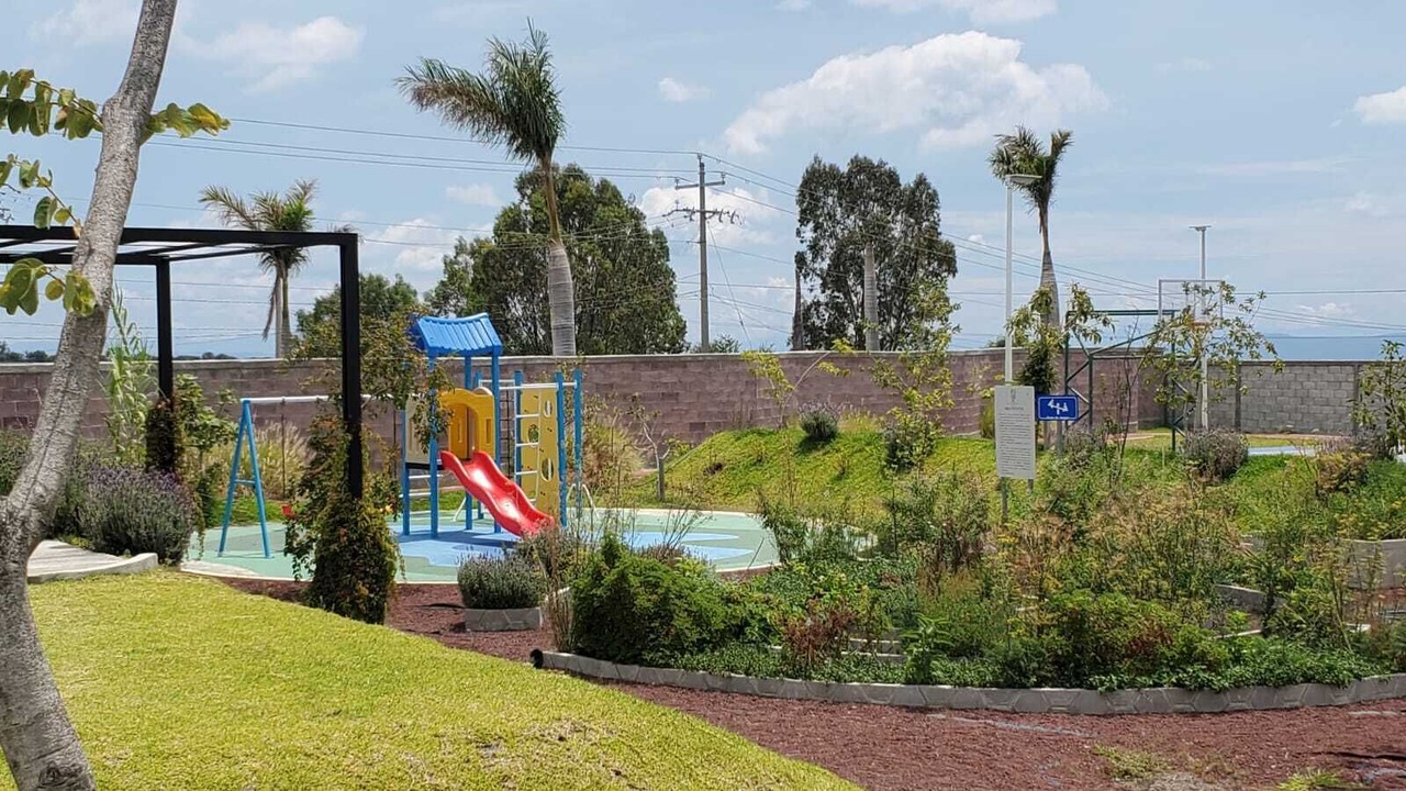 Photo of Others in Yecapixtla