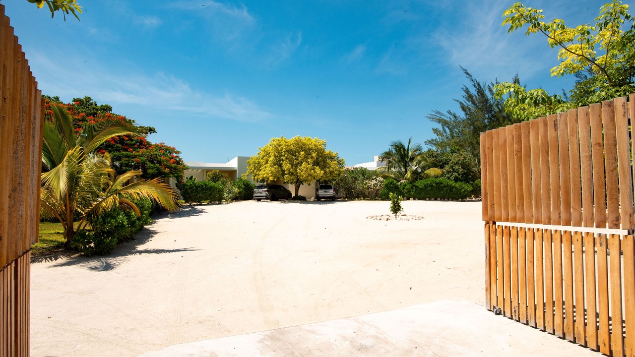 Photo of Others in Chicxulub Puerto