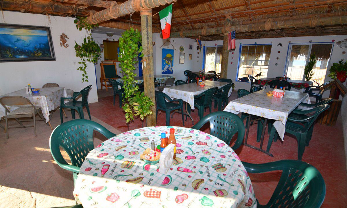 Photo of Others in San Felipe