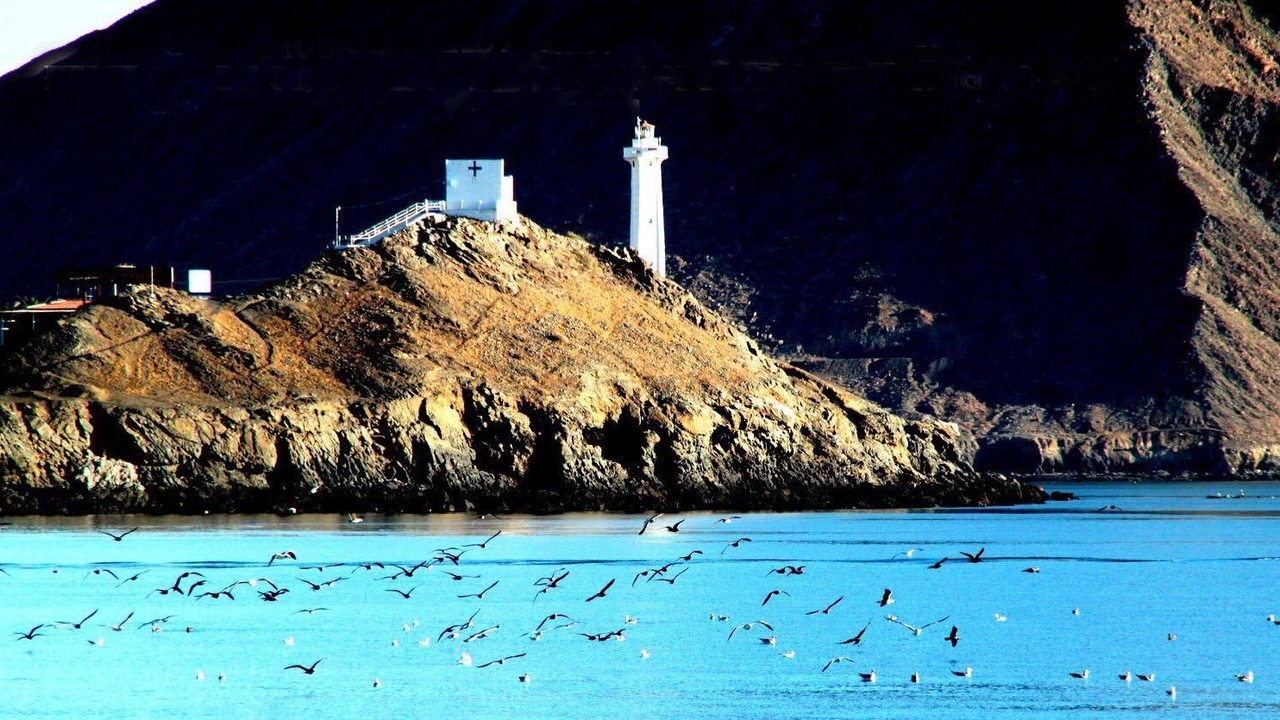 Photo of Others in San Felipe