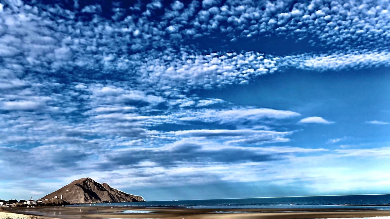 Photo of Others in San Felipe