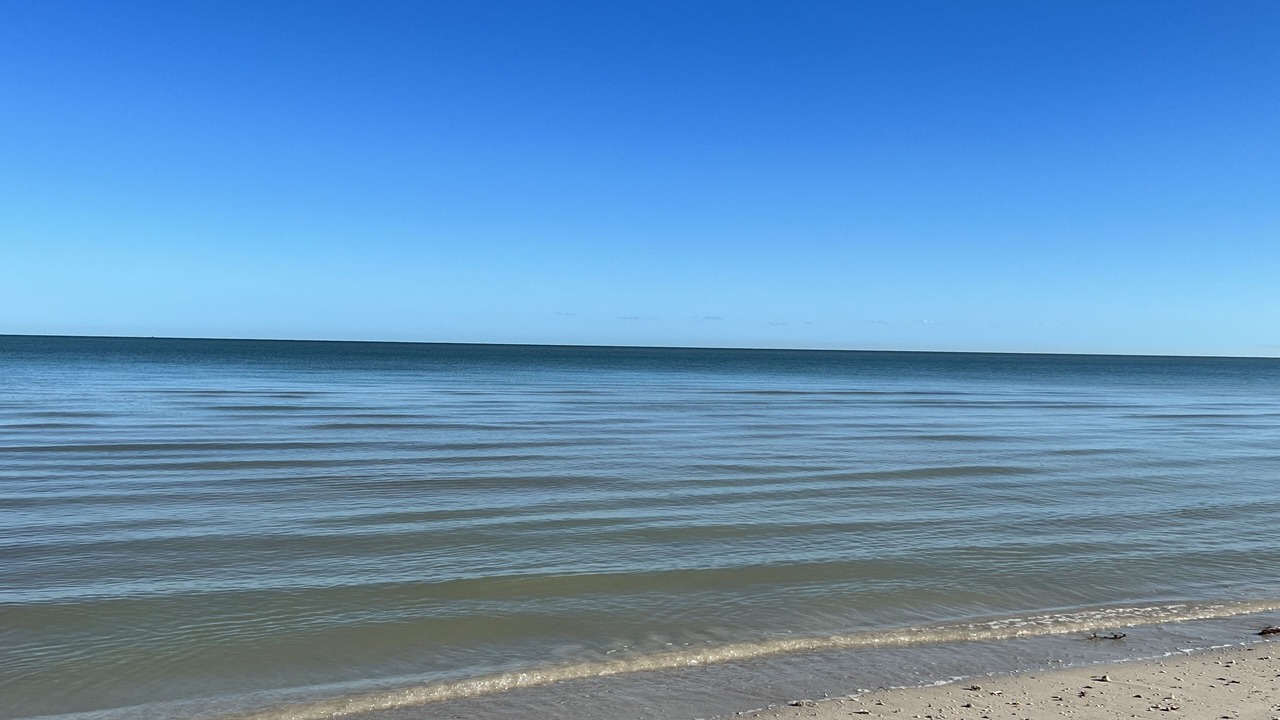 Photo of Others in Progreso Municipality