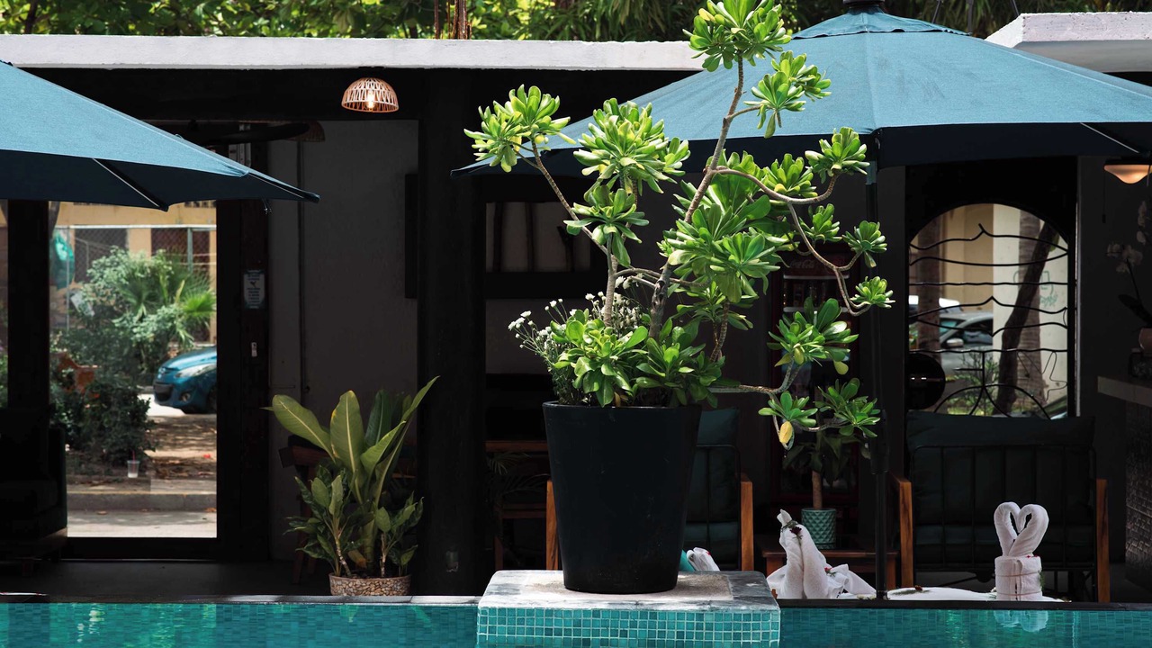 Photo of Outdoor in Centro