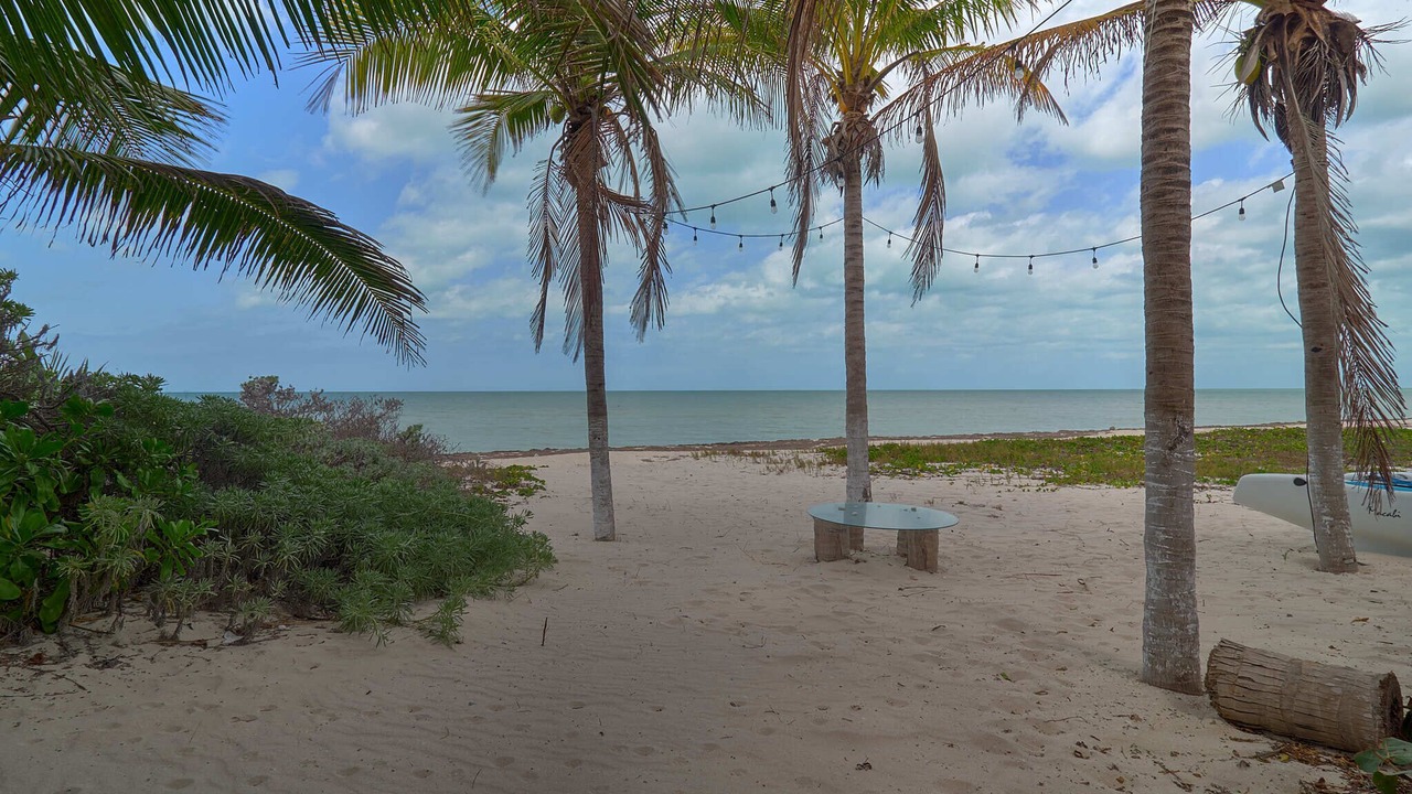 Photo of Outdoor in Yucatan Peninsula