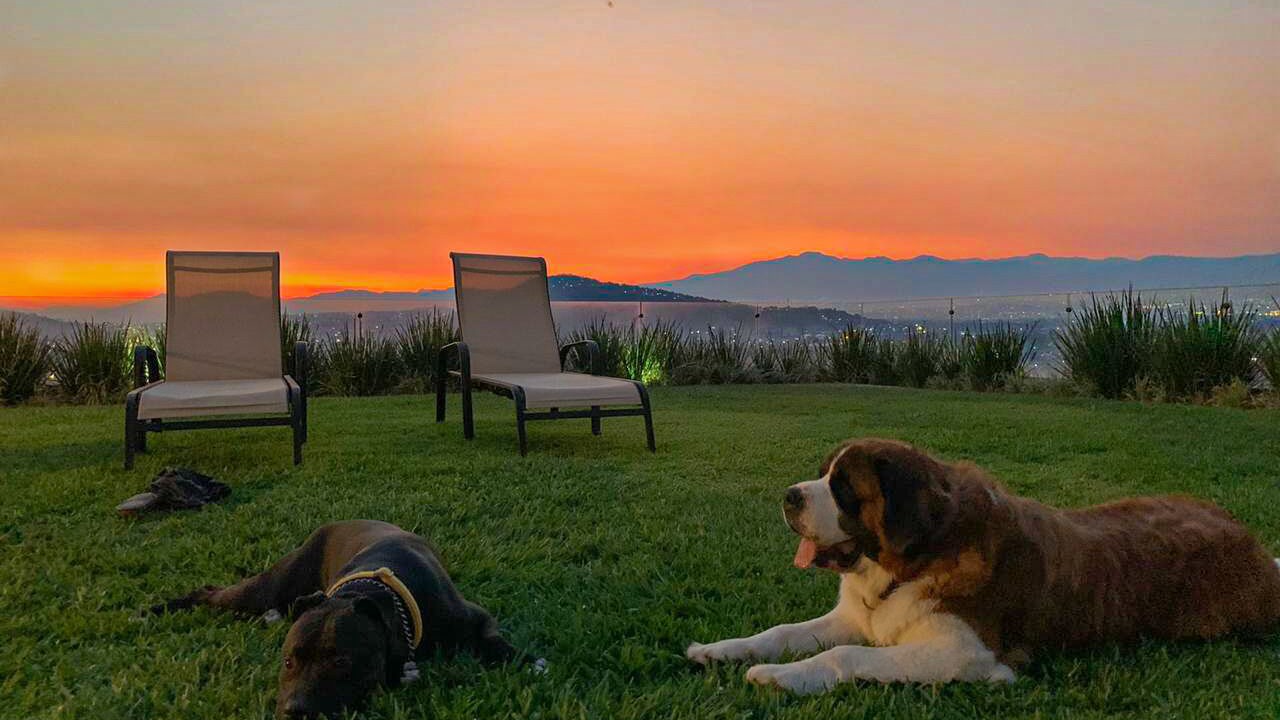 Photo of Outdoor in Morelos