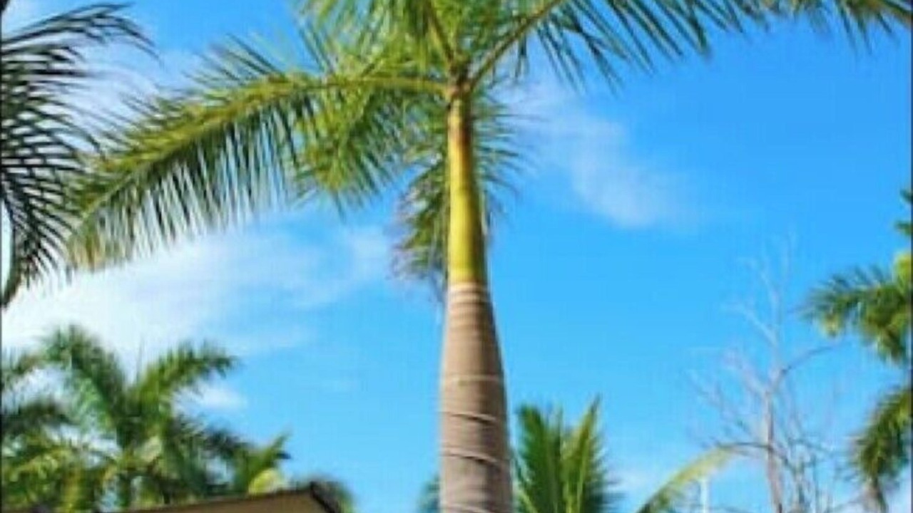 Photo of Outdoor in Ixtapa