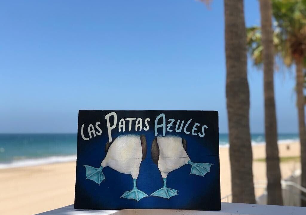 Photo of Others in Bahia Kino