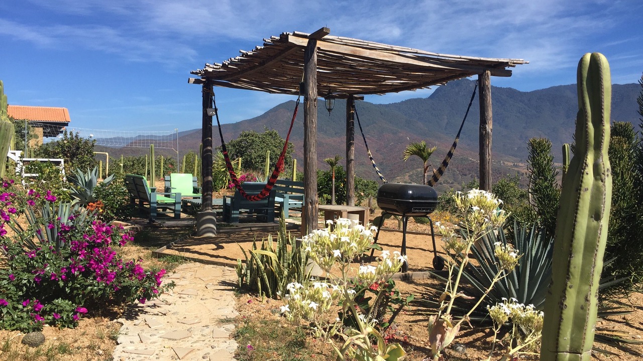 Photo of Outdoor in Oaxaca