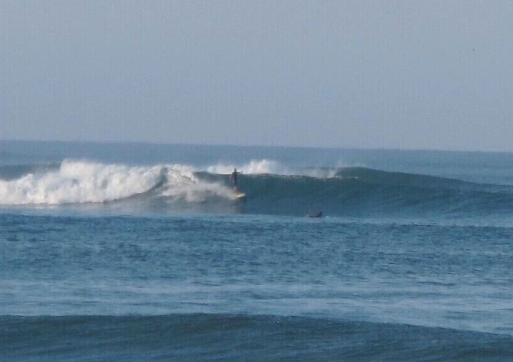 Photo of Others in Saladita
