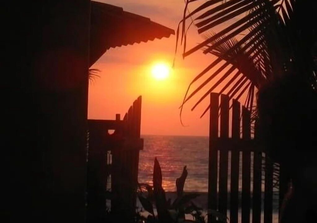 Photo of Outdoor in Saladita