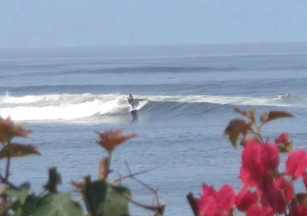Photo of Others in Saladita