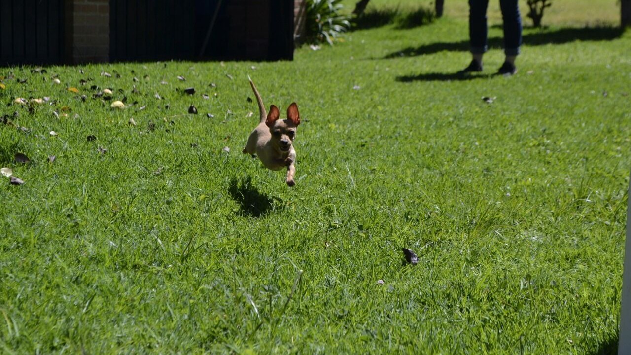 Photo of Outdoor in Tlahuapan