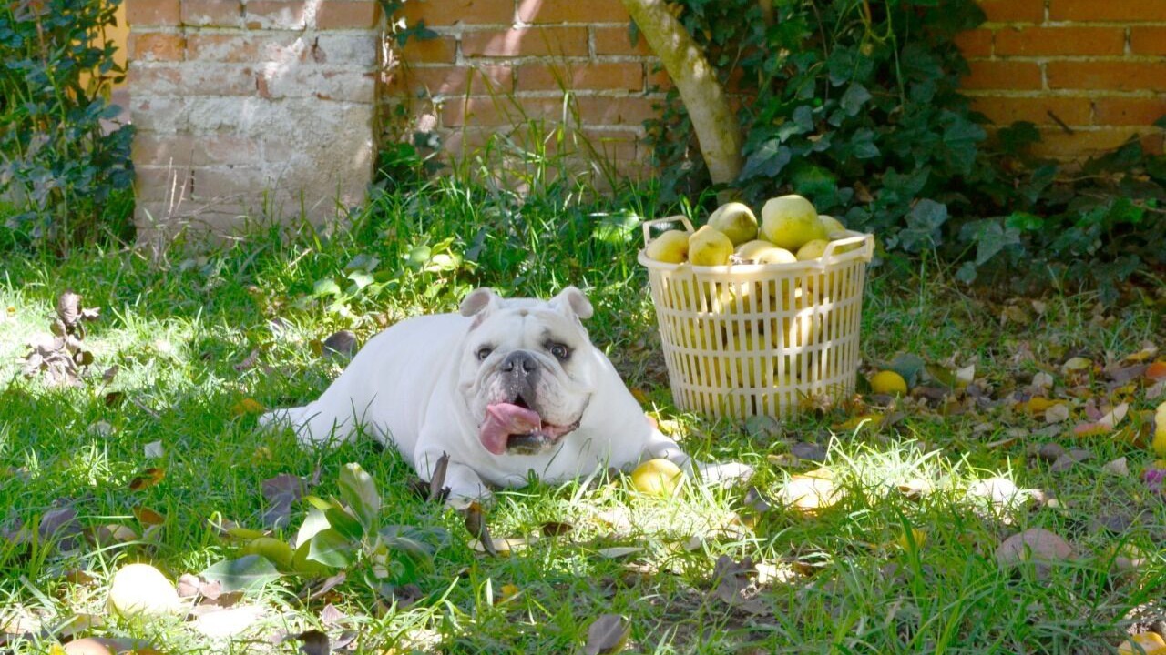 Photo of Outdoor in Tlahuapan