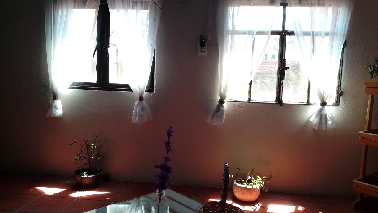Photo of Others in Cholula