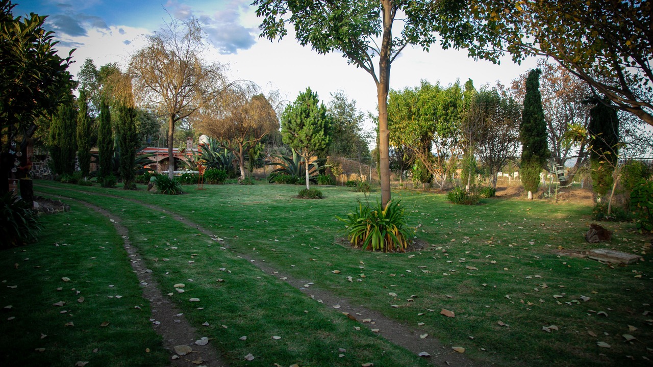 Photo of Outdoor in Tlahuapan