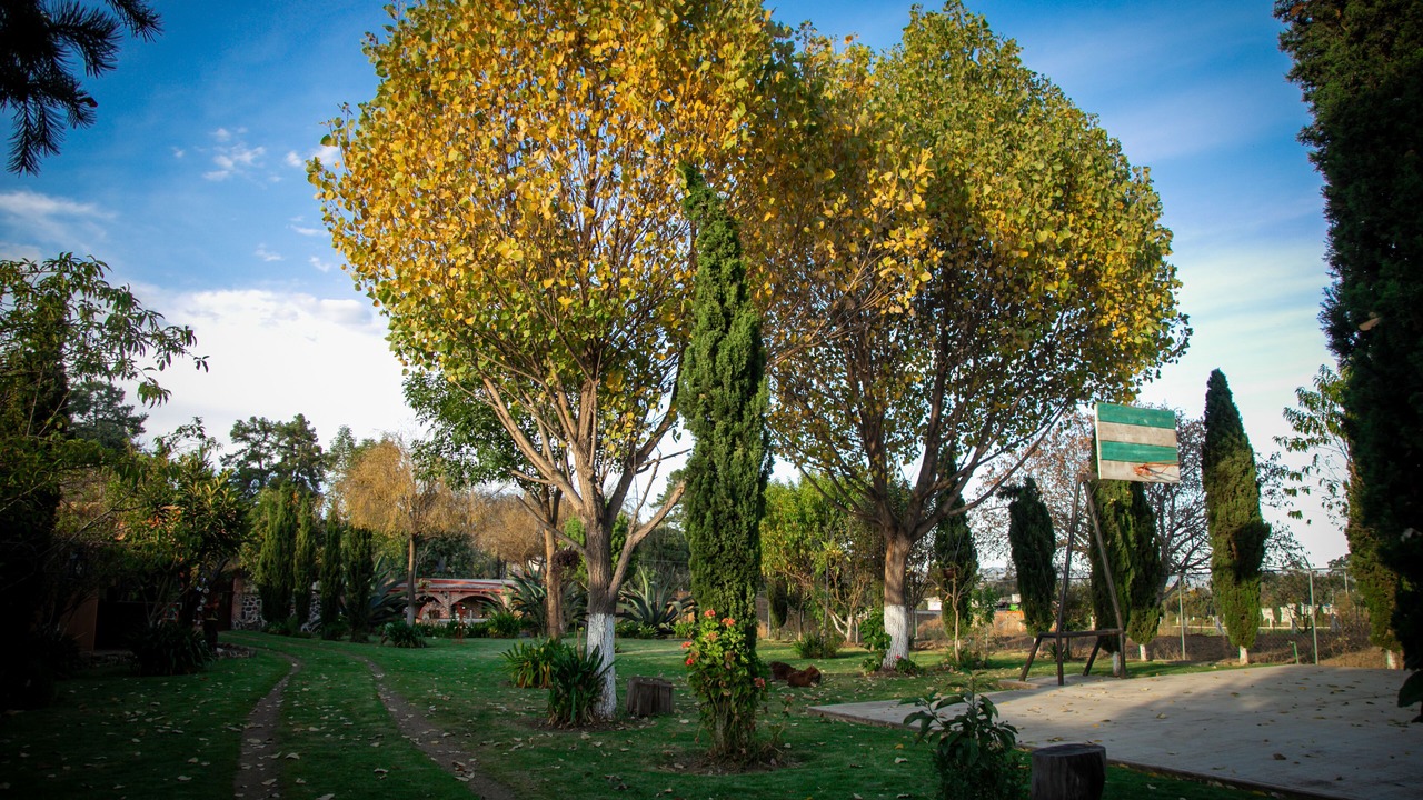 Photo of Outdoor in Tlahuapan