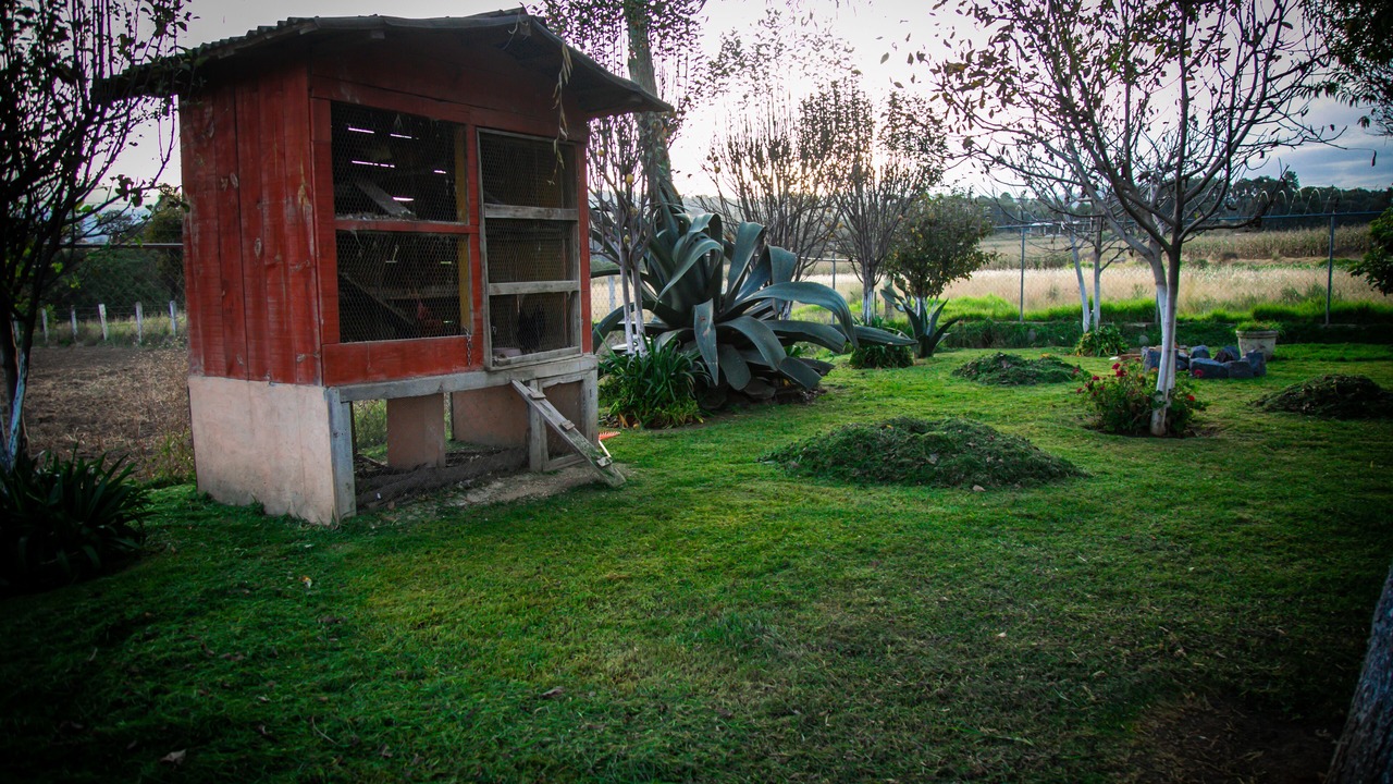 Photo of Outdoor in Tlahuapan