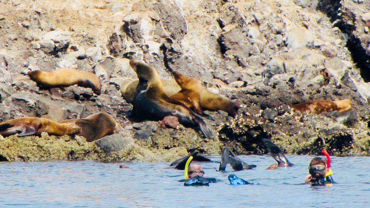 Photo of Others in La Paz