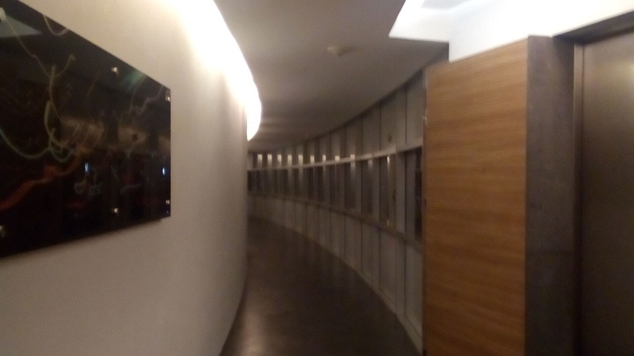 Photo of Others in Reforma