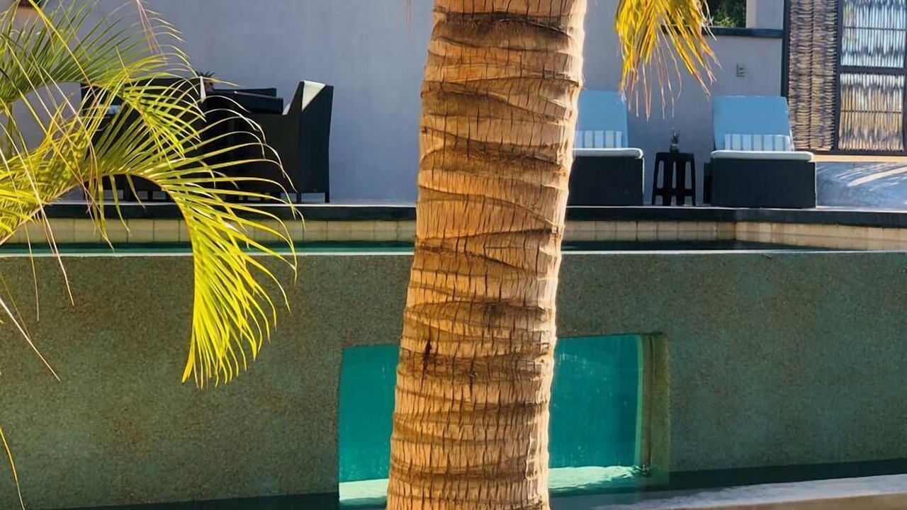 Photo of Outdoor in El Pescadero