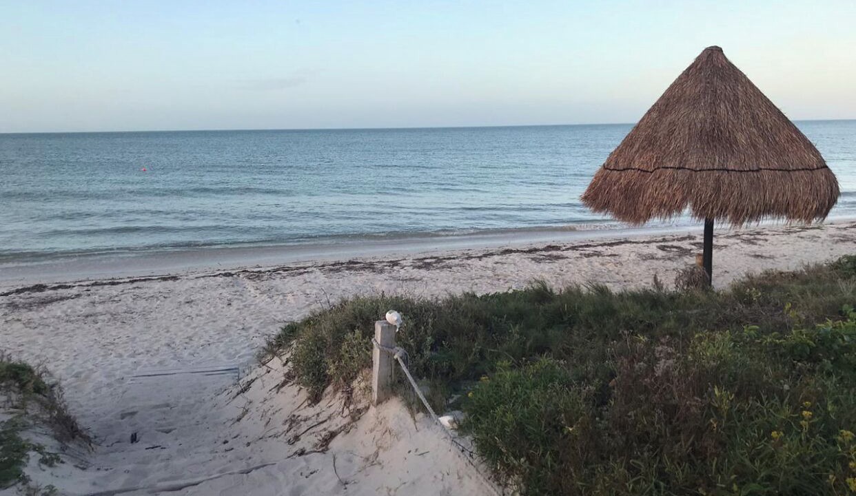 Photo of Others in Telchac Puerto