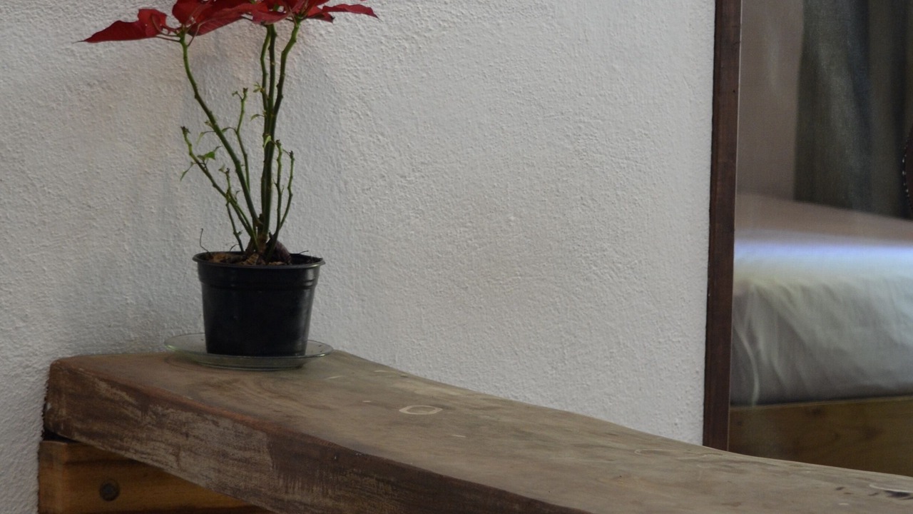 Photo of Others in Brisas de Zicatela