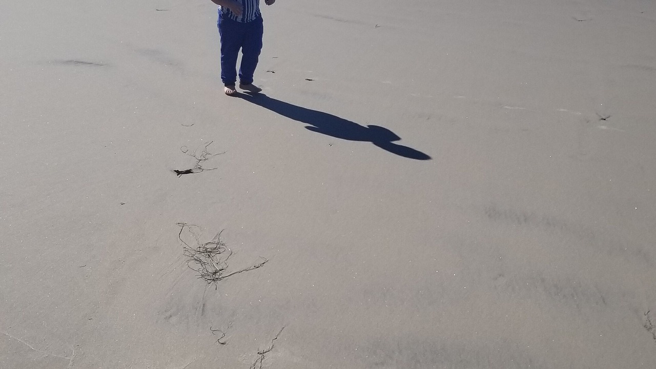 Photo of Others in La Salina