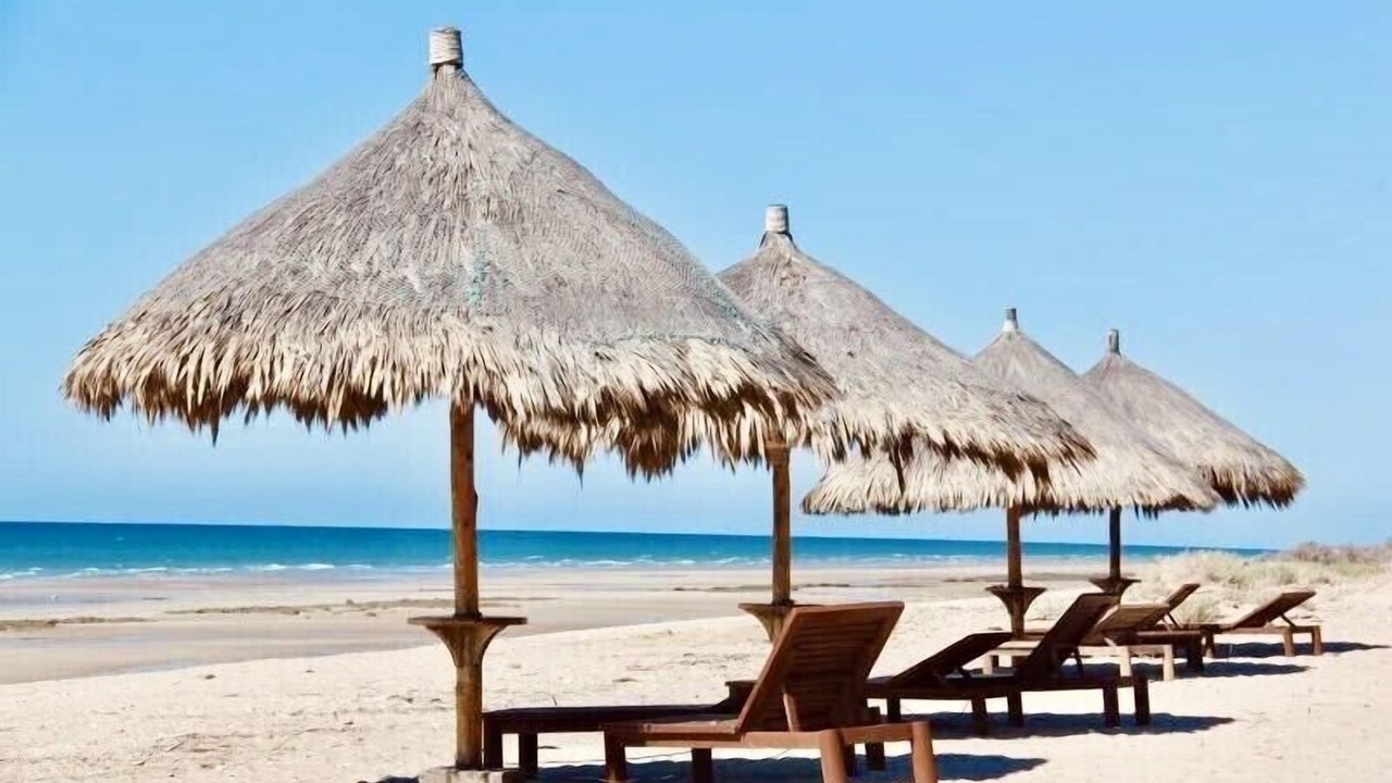 Photo of Others in Puerto Penasco