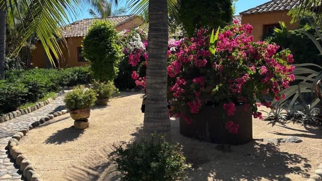 Photo of Outdoor in Troncones