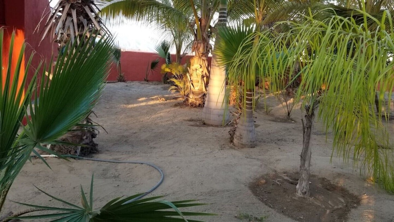 Photo of Outdoor in Elias Calles